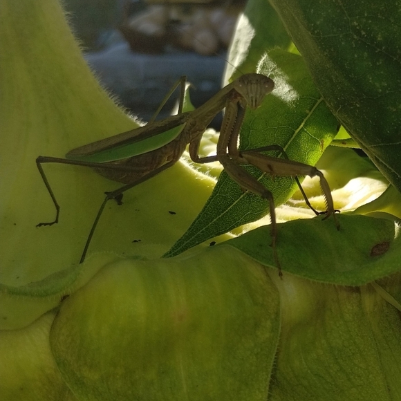 20% Off Bundles Of Two Items Or More - Picture 3 of 10